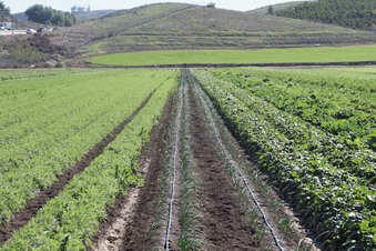 Enlarge photo 68
