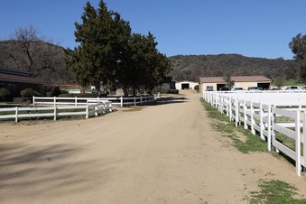 Enlarge photo 30