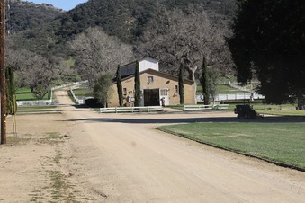 Enlarge photo 37