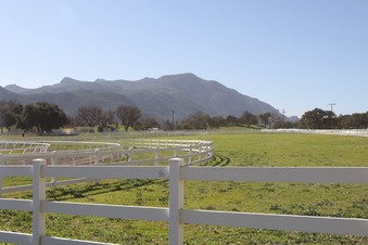 Enlarge photo 39
