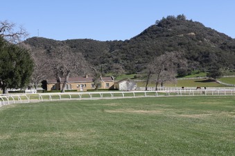 Enlarge photo 44