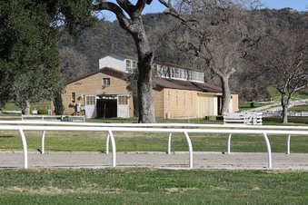 Enlarge photo 46