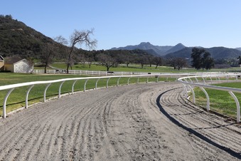 Enlarge photo 47