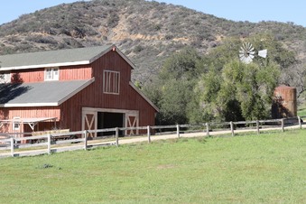 Enlarge photo 12