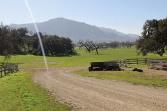 Enlarge photo 15