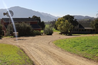 Enlarge photo 20