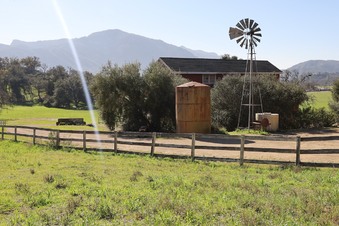 Enlarge photo 21