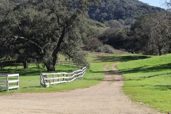 Enlarge photo 28