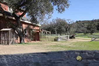 Enlarge photo 29
