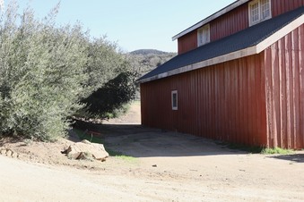 Enlarge photo 32