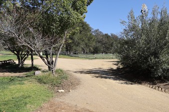 Enlarge photo 33