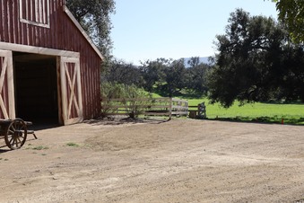 Enlarge photo 34