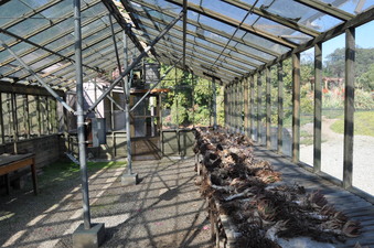 Enlarge photo 7