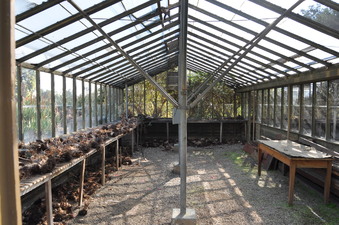 Enlarge photo 9