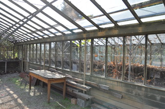 Enlarge photo 10