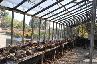 Enlarge photo 11
