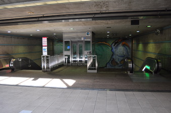 Enlarge photo 31