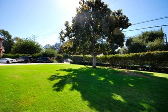 Enlarge photo 27