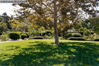 Enlarge photo 26