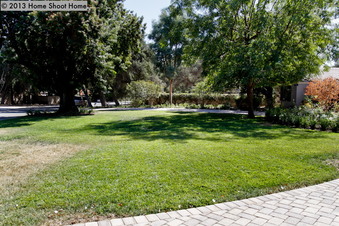 Enlarge photo 28