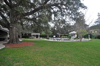 Enlarge photo 55