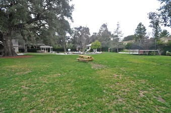 Enlarge photo 56