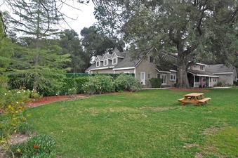 Enlarge photo 57