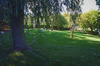 Enlarge photo 39