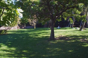 Enlarge photo 43