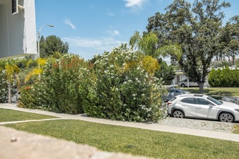 Enlarge photo 39