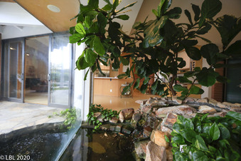 Enlarge photo 47