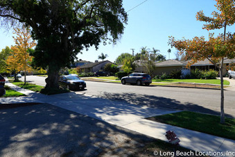 Enlarge photo 47