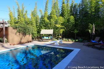 Enlarge photo 30