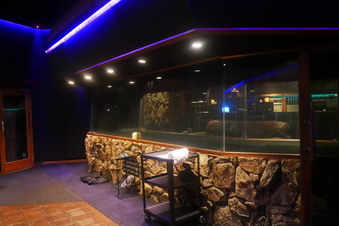 Enlarge photo 7
