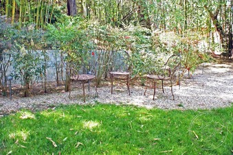 Enlarge photo 68