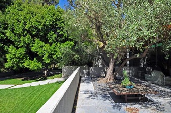 Enlarge photo 77