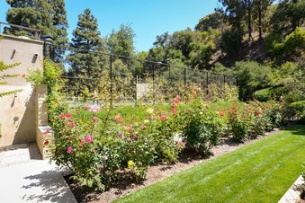 Enlarge photo 75