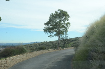 Enlarge photo 1