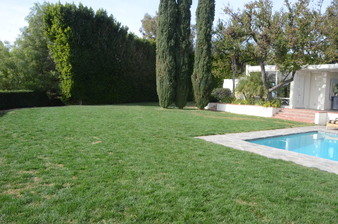 Enlarge photo 87