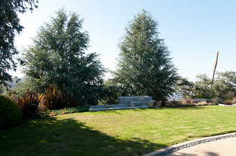 Enlarge photo 68
