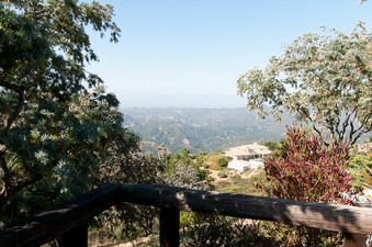 Enlarge photo 73
