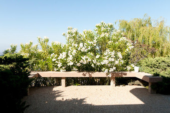 Enlarge photo 77