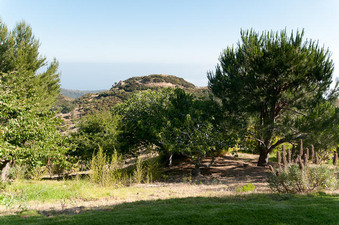 Enlarge photo 86