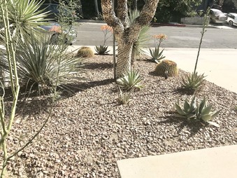 Enlarge photo 19