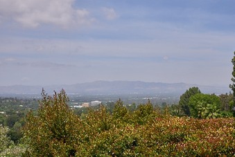 Enlarge photo 91