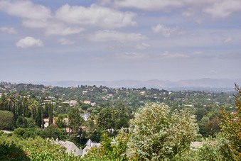 Enlarge photo 92