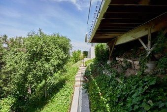 Enlarge photo 98