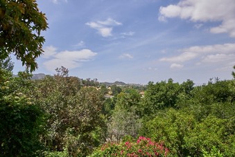 Enlarge photo 99