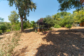 Enlarge photo 120