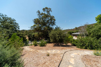 Enlarge photo 145